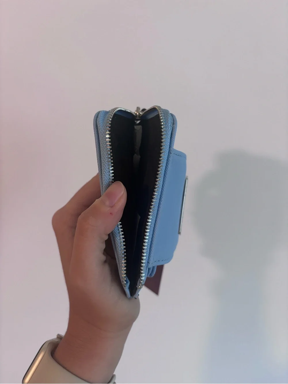 Steve Madden Light Blue Compact Zip Card Holder